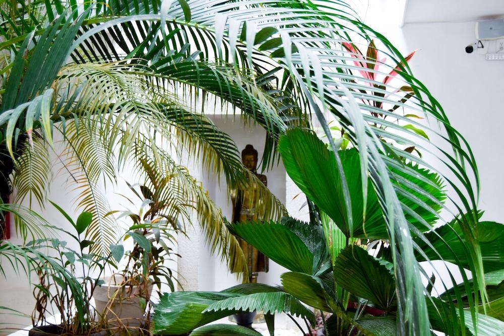 Hotel Zendero Tulum Zewnętrze zdjęcie